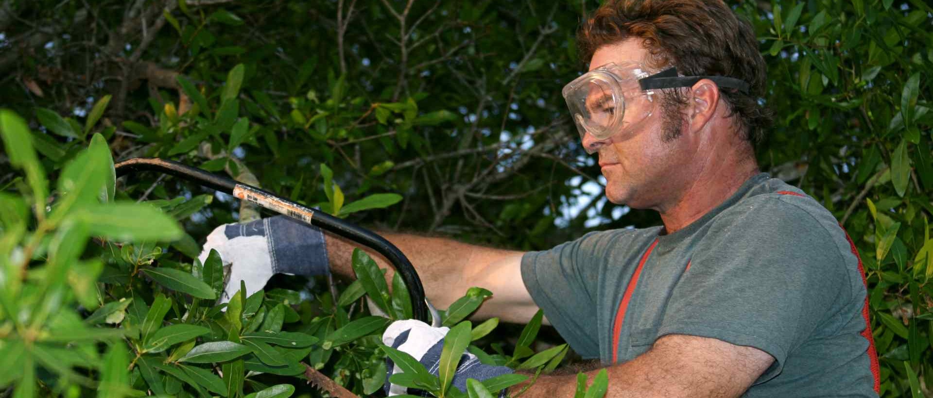 garden clearance UB10